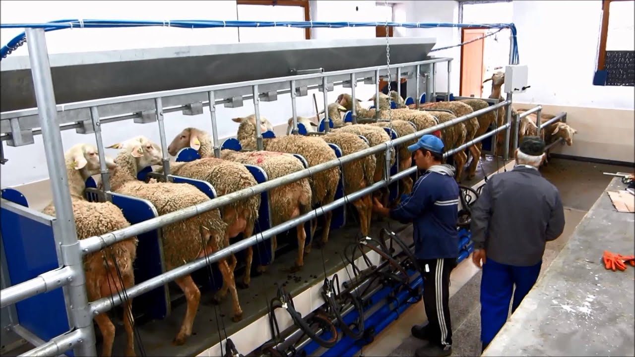 Εικόνα απο την ίδρυση της ομάδας παραγωγών